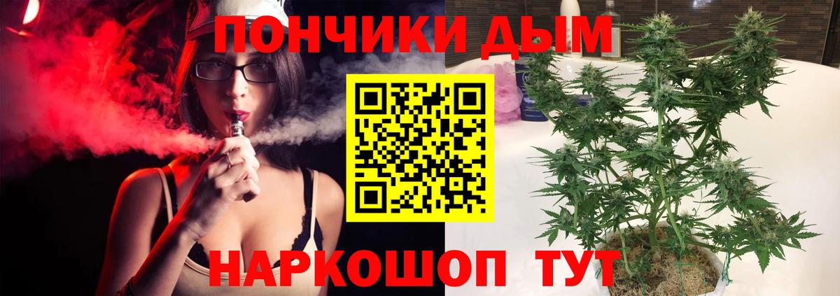 Таганрог  Каннабис OG Kush  Конопля план  Канабис ГИДРОПОН  Конопля сатива  Вход с VPN 